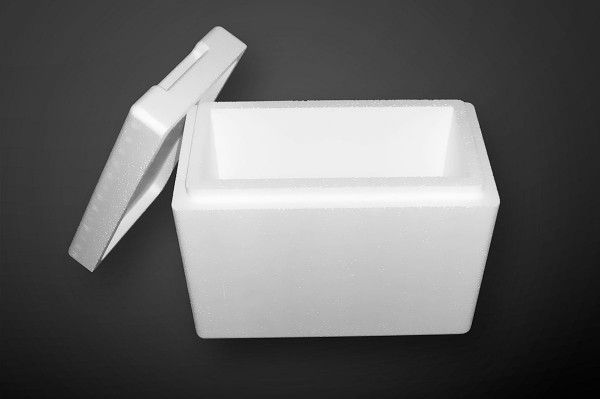 Thermobox Größe XL